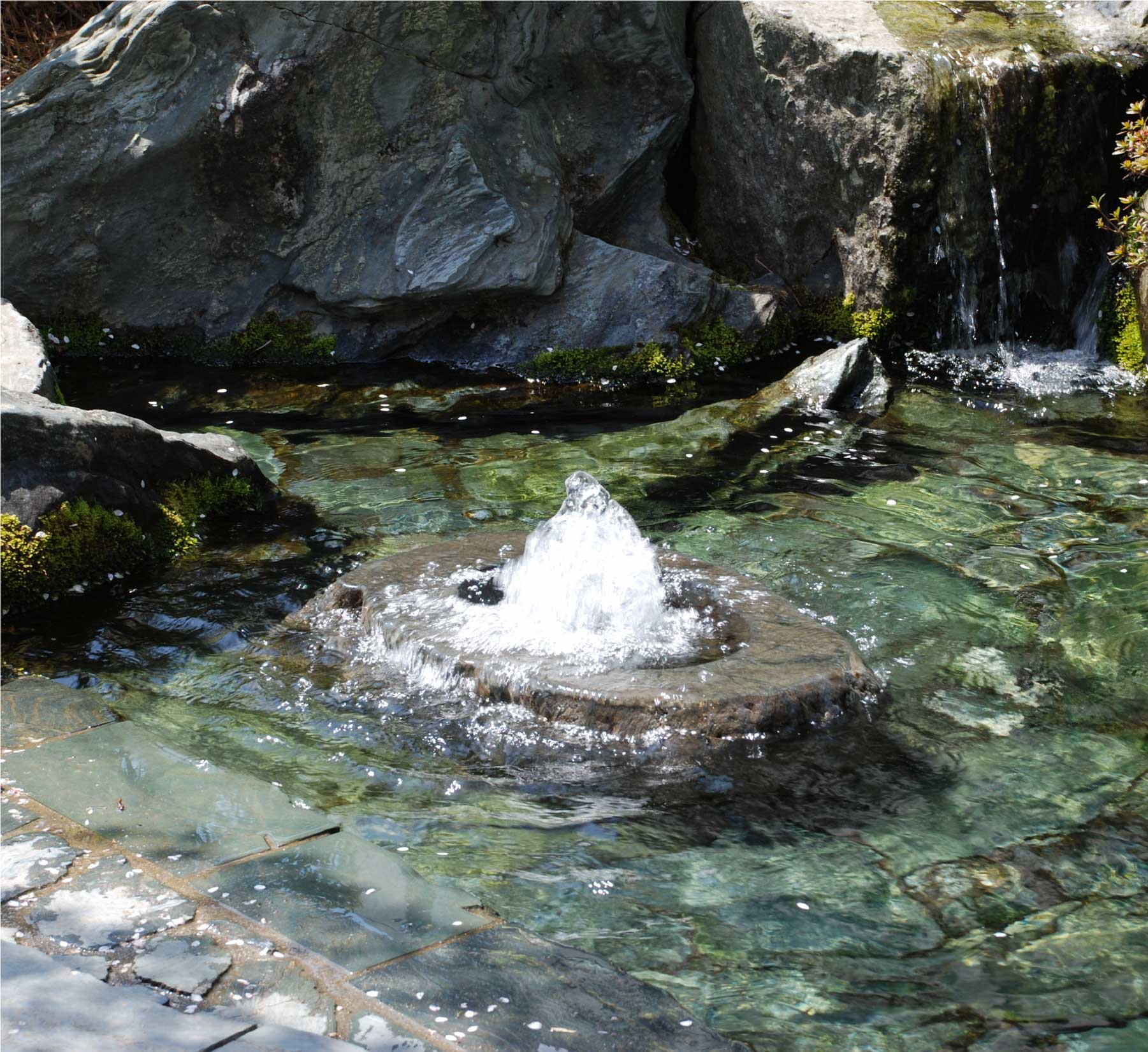 水について