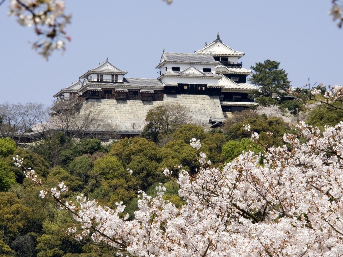 西日本エリアを対象にした四季折々のツアー商品を常時20種類程展開中